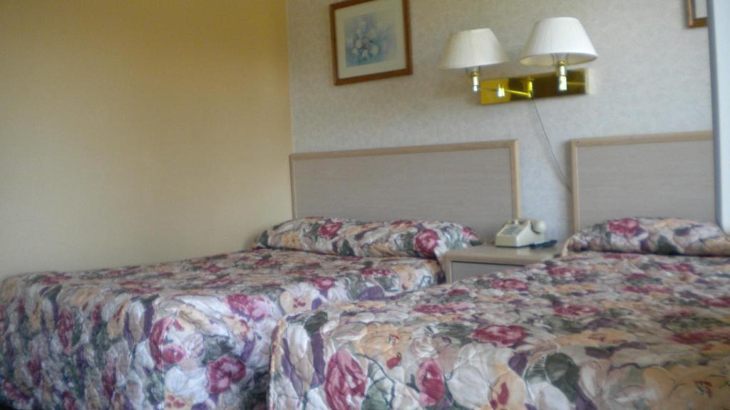Studio 6 Suites - Albany, Or Quarto foto